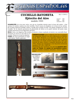 Diapositiva 1 - Vicente Toledo Momparler