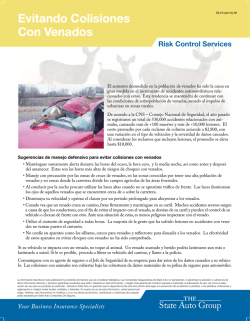 Evitando Colisiones Con Venados