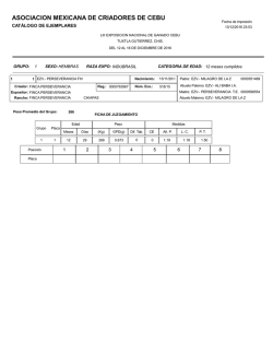 raza indubrasil - Asociaci&oacute;n Mexicana de Criadores de Ceb&uacute;