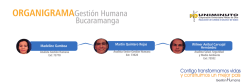 ORGANIGRAMA