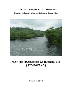 PLAN DE MANEJO DE LA CUENCA 148 (R&Iacute;O BAYANO)