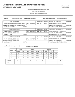 raza guzerat - Asociaci&oacute;n Mexicana de Criadores de Ceb&uacute;