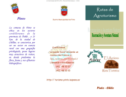 Monje Soto, Paulina_anexo4 - Universidad del B&iacute;o-B&iacute;o