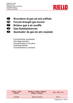 Bruciatore di gas ad aria soffiata Forced draught