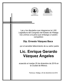 Lic. Enrique Gerardo V&aacute;zquez &Aacute;ngeles