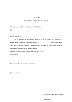 ANEXO III INFORME DE RENDICI&Oacute;N DE GASTOS Sres