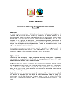 T&eacute;rminos de referencia