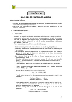 LECCI&Oacute;N N&ordm; 06
