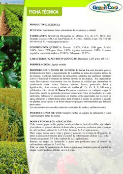 Descargar - GreenCorp