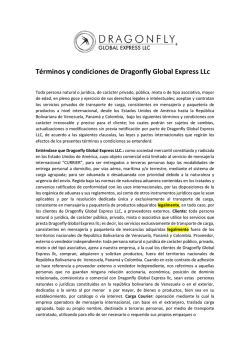 T&eacute;rminos y condiciones - Dragon Fly Global Express