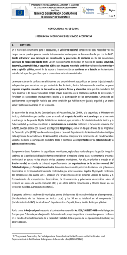 t&eacute;rminos de referencia contrato de servicios profesionales