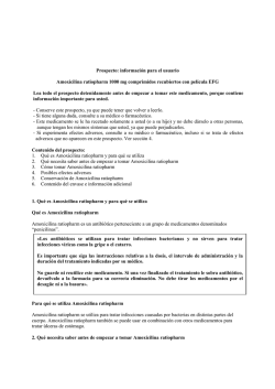 Prospecto: informaci&oacute;n para el usuario Amoxicilina ratiopharm 1000