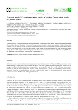 Echeveria munizii (Crassulaceae) a new species of epiphyte from