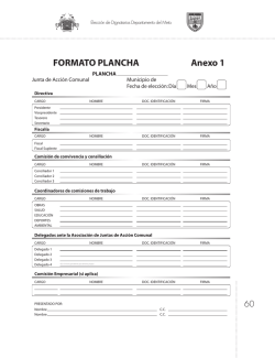 FORMATO PLANCHA Anexo 1