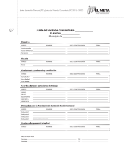 JUNTA DE VIVIENDA COMUNITARIA PLANCHA Municipio de