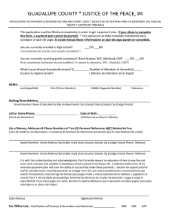 GUADALUPE COUNTY * JUSTICE OF THE PEACE, #4