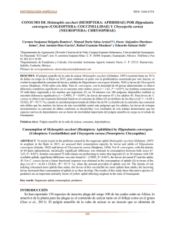 CONSUMO DE Melanaphis sacchari (HEMIPTERA: APHIDIDAE