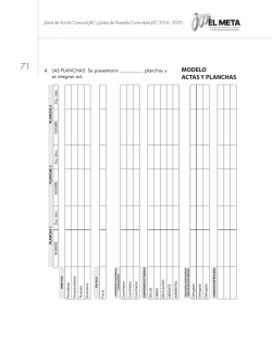 71 MODELO ACTA PLANCHA