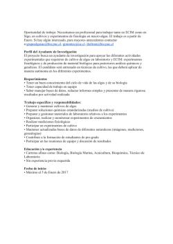 Necesitamos un profesional para trabajar tanto en ECIM como en