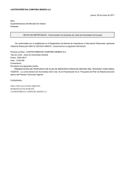 CASTROVIRREYNA COMPA&Ntilde;IA MINERA SA jueves, 05 de