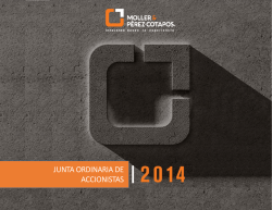 Junta Ordinaria Accionistas 2014 PDF
