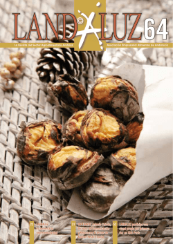 Andaluces - Landaluz