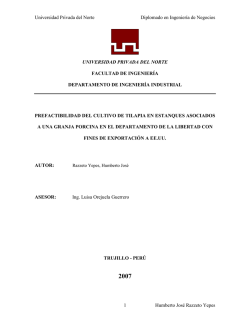 Universidad Privada del Norte Diplomado en Ingenier&iacute;a de