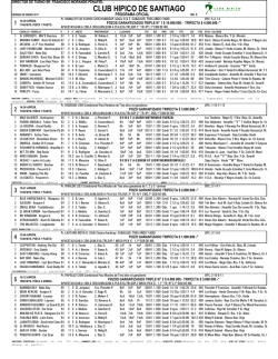 Volante - Club H&iacute;pico de Santiago