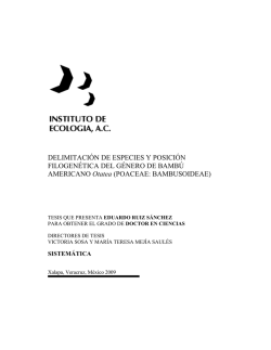 DELIMITACI&Oacute;N DE ESPECIES Y POSICI&Oacute;N FILOGEN&Eacute;TICA DEL