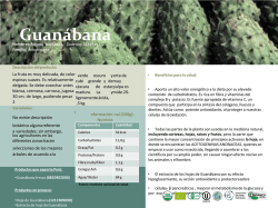 Presentaci&oacute;n de PowerPoint