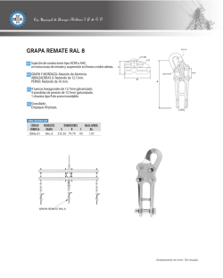hoja tecnica grapa ral 8