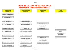COPA DE LA LIGA DE F&Uacute;TBOL SALA ARACENA. Temporada 2016