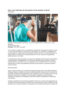 Vacas de Bolivia ser&aacute;n clonadas en Brasil