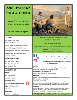 saint patrick`s pro-cathedral - St. Patrick`s Pro