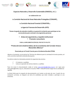 descargar convocatoria