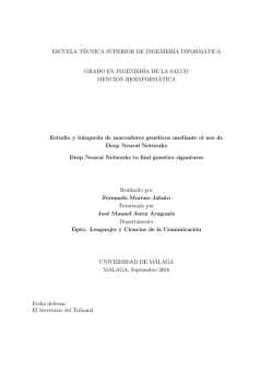 ESCUELA T&Eacute;CNICA SUPERIOR DE INGENIER&Iacute;A INFORM