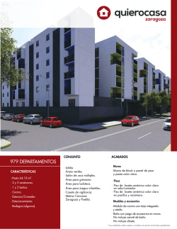 ficha del desarrollo