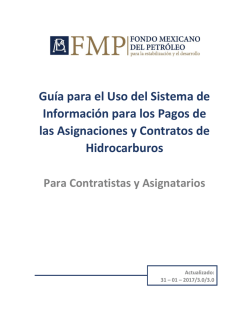 Gu&iacute;a para el Uso del Sistema de Informaci&oacute;n para los Pagos de las