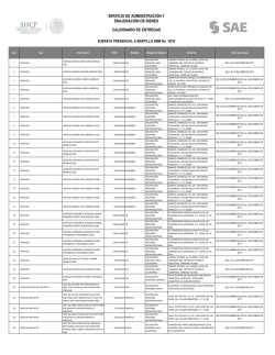 Calendario de Entrega - subastas sae a martillo