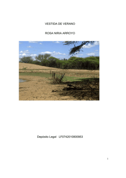 VESTIDA DE VERANO ROSA NIRIA ARROYO