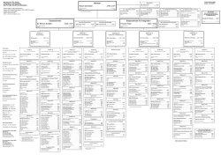 ministerium_orga-plan