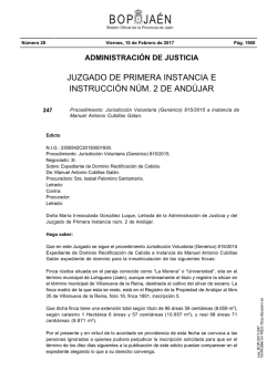 JUZGADO DE PRIMERA INSTANCIA E INSTRUCCI&Oacute;N N&Uacute;M. 2 DE