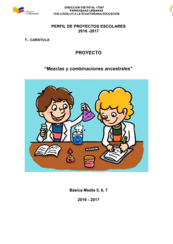 PROYECTO &ldquo;Mezclas y combinaciones