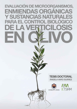 Kill or cure? The interaction between endophytic