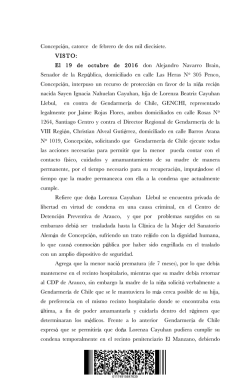 recurso de protecci&oacute;n lorenza cayuhan pdf