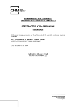 convocatoria n&deg; 004-2015-sn/cnm