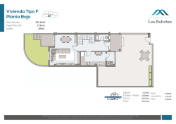 planta acceso vivienda tipo f