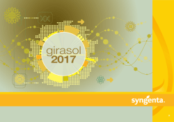 girasol - Syngenta