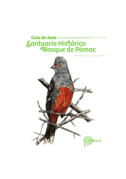 Gu&iacute;a de aves: Santuario Hist&oacute;rico Bosque de P&oacute;mac (PDF