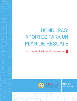 Aportes para un plan de rescate